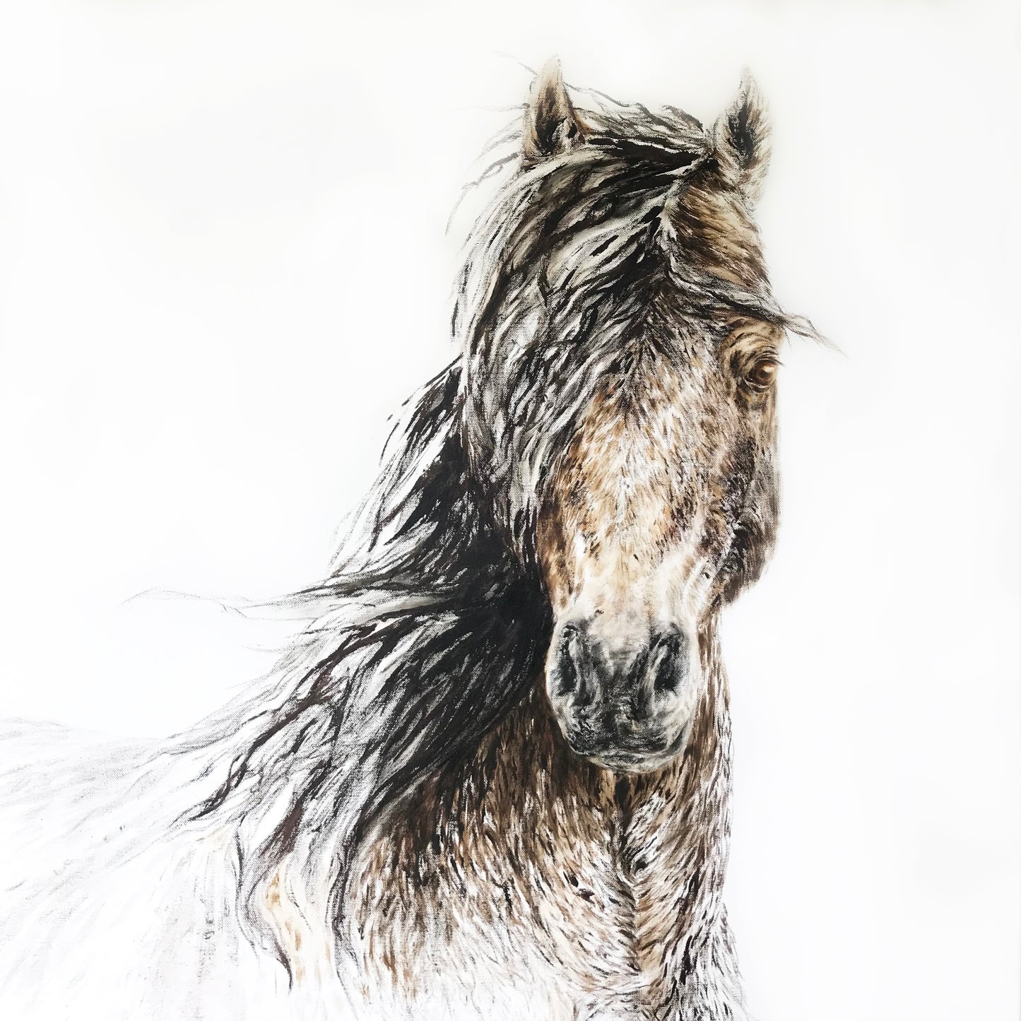 THE BRUMBY Original Painting